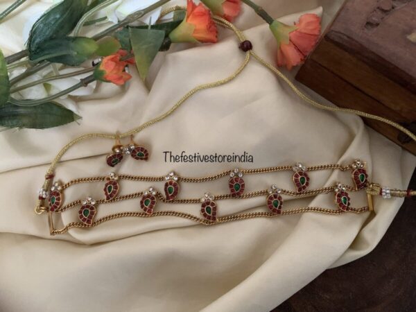 V2 Multi colour palakka high neck choker  set