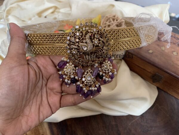 Purple pendant victorian hipbelt