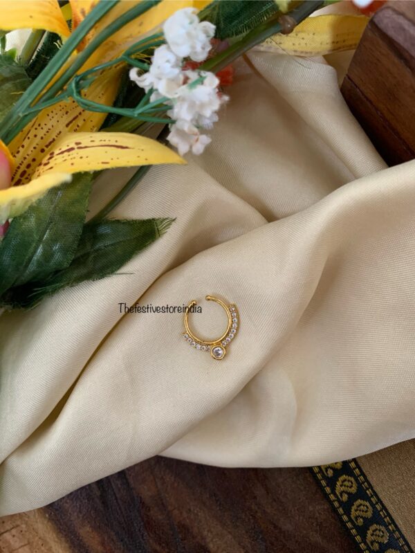 Nosepin / septum ring 1