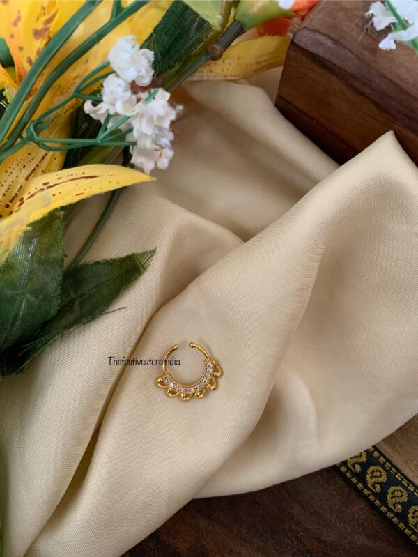 Nosepin / septum ring 2